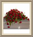 Florals By Sharon, 21599 E 360 Rd, Chelsea, OK 74016, (918)_789-2108